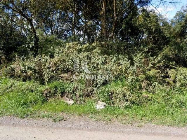 Terreno venda em Região Geográfica Imediata de Caxias do Sul, Caxias do Sul
