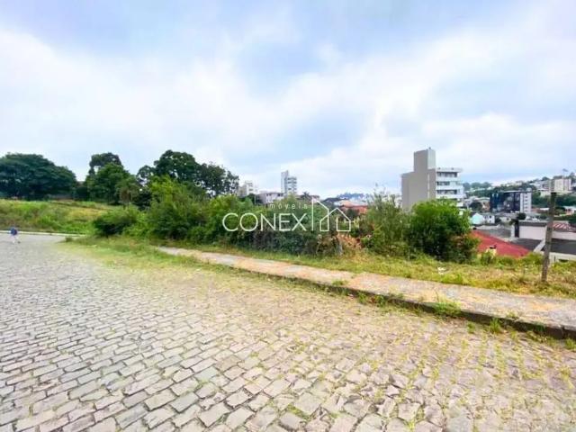 Terreno venda em Região Geográfica Imediata de Caxias do Sul, Caxias do Sul