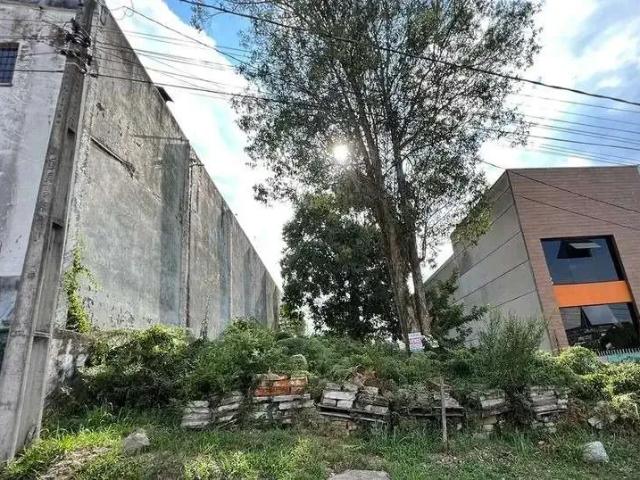 Terreno venda em Região Geográfica Imediata de Caxias do Sul, Caxias do Sul