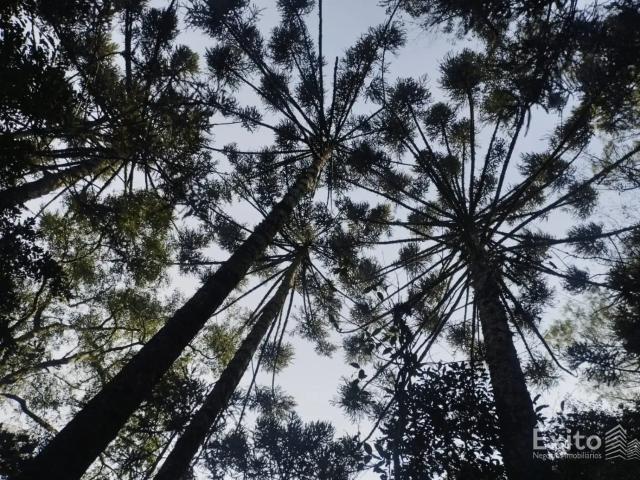 Terreno venda em Caxias do Sul, Região Geográfica Intermediária de Caxias do Sul