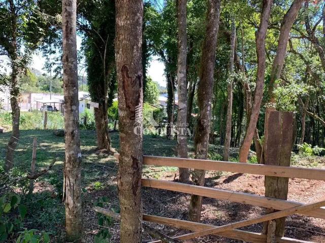 Terreno venda em Região Geográfica Imediata de Caxias do Sul, Caxias do Sul