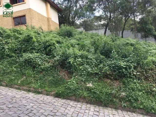 Terreno venda em Região Geográfica Imediata de Caxias do Sul, Caxias do Sul