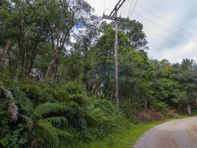 Terreno venda em Região Geográfica Imediata de Caxias do Sul, Caxias do Sul
