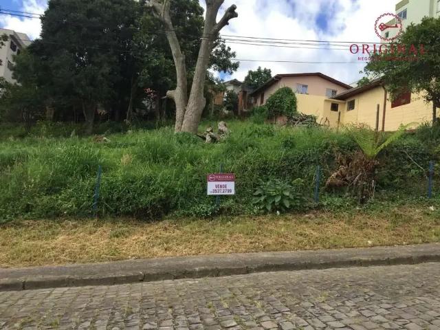 Terreno venda em Região Geográfica Imediata de Caxias do Sul, Caxias do Sul