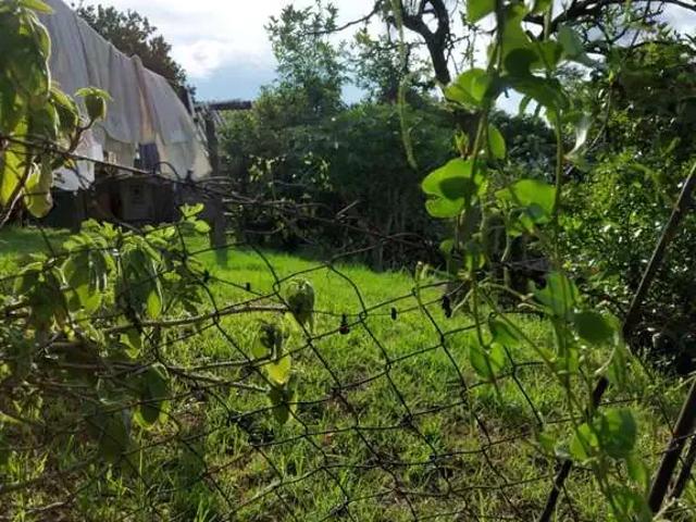 Terreno venda em Região Geográfica Imediata de Caxias do Sul, Caxias do Sul