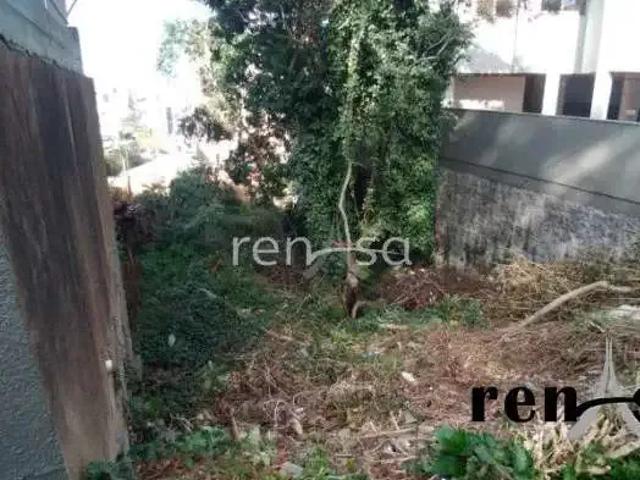 Terreno venda em Região Geográfica Imediata de Caxias do Sul, Caxias do Sul