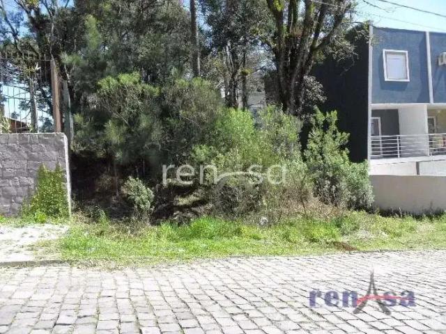 Terreno venda em Região Geográfica Imediata de Caxias do Sul, Flores da Cunha