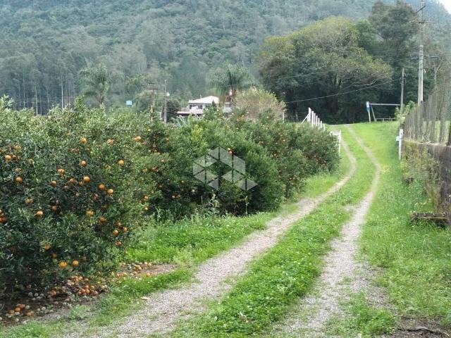 Terreno venda em Região Geográfica Imediata de Caxias do Sul, Caxias do Sul