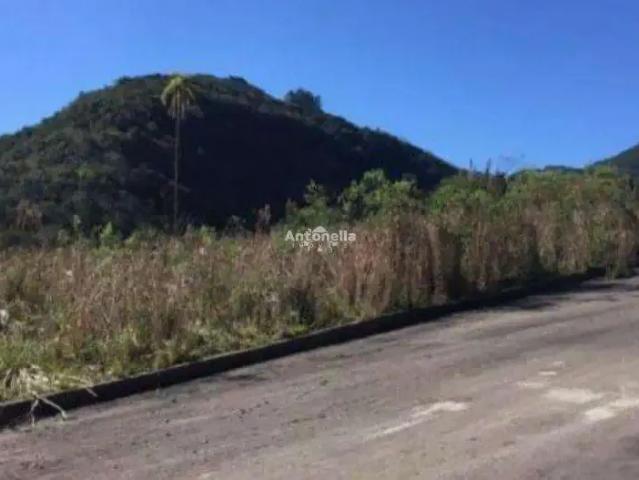 Terreno venda em Região Geográfica Imediata de Caxias do Sul, Caxias do Sul