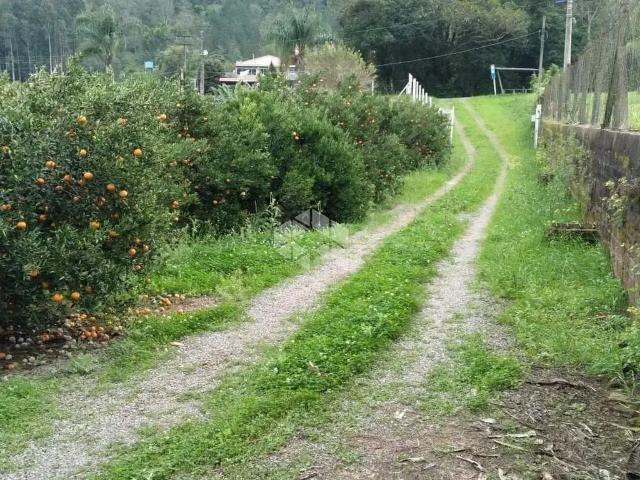 Terreno venda em Região Geográfica Imediata de Caxias do Sul, Caxias do Sul