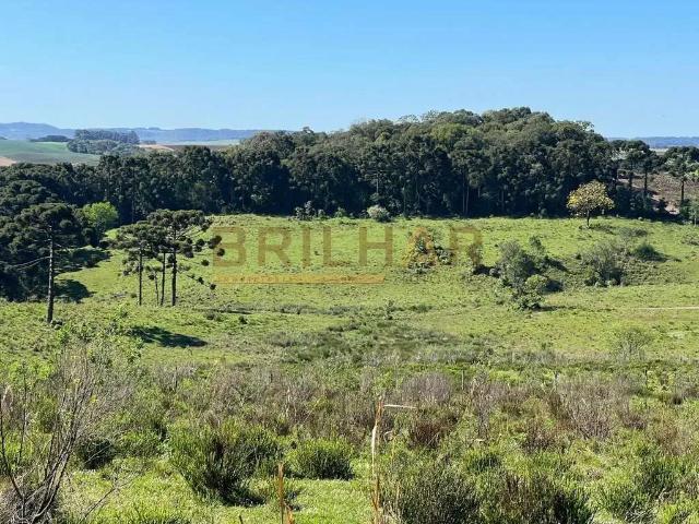 Terreno venda em Região Geográfica Imediata de Caxias do Sul, Caxias do Sul