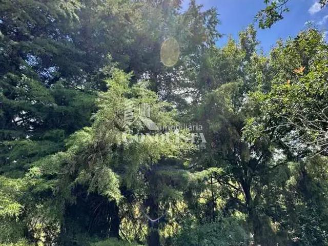 Terreno venda em Região Geográfica Imediata de Caxias do Sul, Caxias do Sul