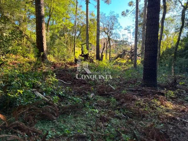 Terreno venda em Região Geográfica Imediata de Caxias do Sul, Caxias do Sul