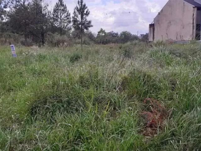 Terreno venda em Região Geográfica Imediata de Caxias do Sul, Caxias do Sul