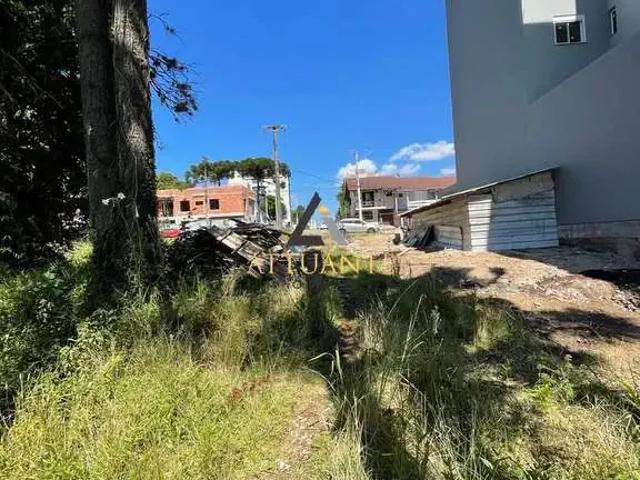 Terreno venda em Região Geográfica Imediata de Caxias do Sul, Caxias do Sul