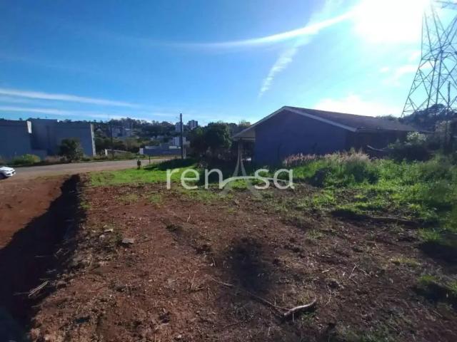 Terreno venda em Região Geográfica Imediata de Caxias do Sul, Flores da Cunha