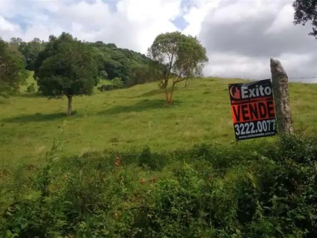 Terreno venda em Região Geográfica Imediata de Caxias do Sul, Caxias do Sul