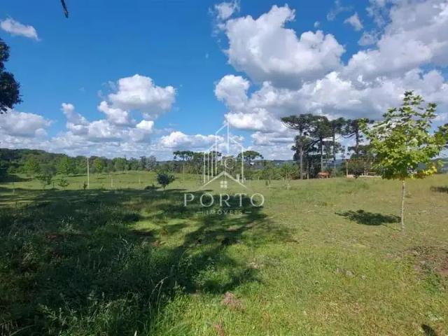 Terreno venda em Região Geográfica Imediata de Caxias do Sul, Caxias do Sul