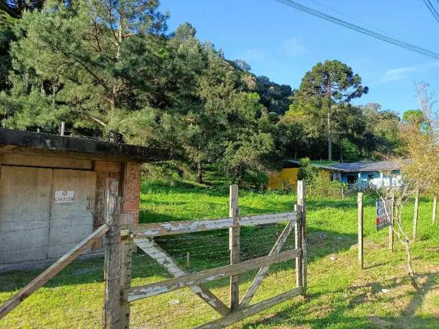 Terreno venda em Região Geográfica Imediata de Caxias do Sul, Caxias do Sul