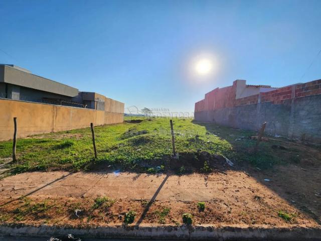Terreno venda em Cedral, Região Geográfica Intermediária de São José do Rio Preto