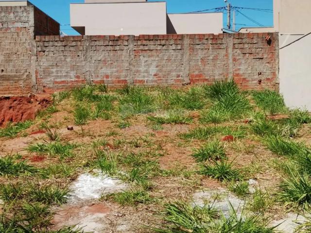 Terreno venda em Região Imediata de São José do Rio Preto, Região Metropolitana de São José do Rio Preto