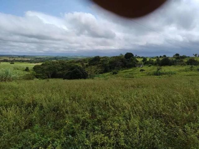 Terreno venda em Chã de Alegria