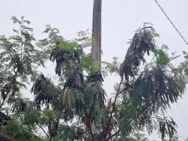 Terreno venda em Região Geográfica Imediata de Cuiabá, Região Metropolitana do Vale do Rio Cuiabá