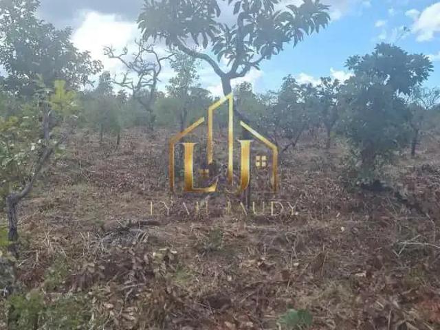 Terreno venda em Região Geográfica Imediata de Cuiabá, Região Metropolitana do Vale do Rio Cuiabá