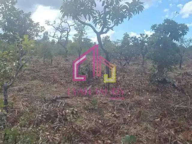 Terreno venda em Região Geográfica Imediata de Cuiabá, Região Metropolitana do Vale do Rio Cuiabá
