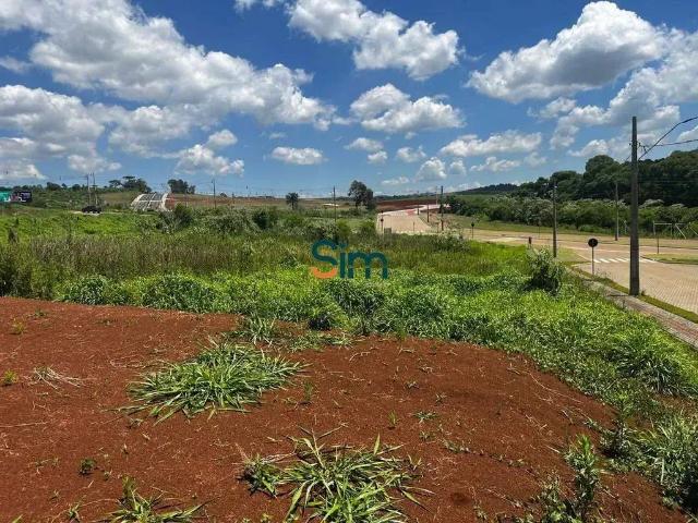 Terreno venda em Região Geográfica Imediata de Chapecó, Chapecó