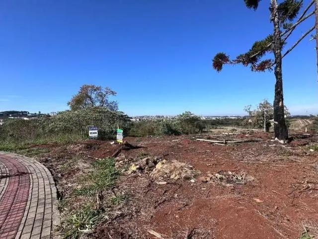 Terreno venda em Região Geográfica Imediata de Chapecó, Chapecó