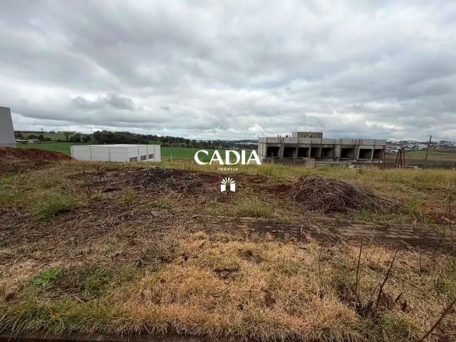 Terreno venda em Região Geográfica Imediata de Chapecó, Chapecó