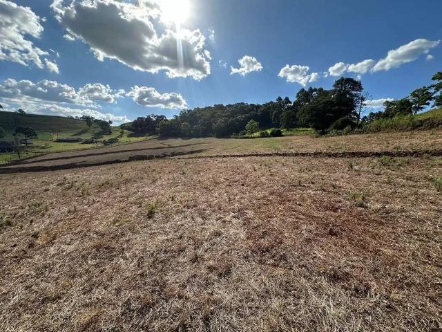 Terreno venda em Região Geográfica Imediata de Chapecó, Chapecó