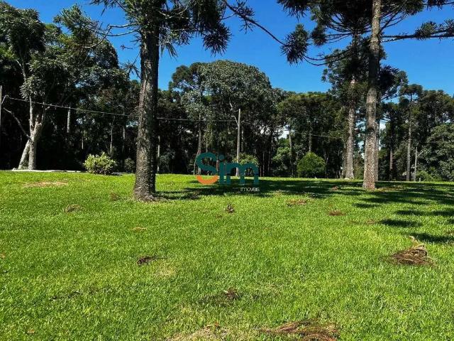 Terreno venda em Região Geográfica Imediata de Chapecó, Chapecó