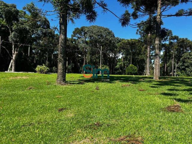 Terreno venda em Região Geográfica Imediata de Chapecó, Chapecó