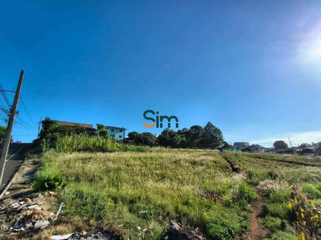 Terreno venda em Região Geográfica Imediata de Chapecó, Chapecó