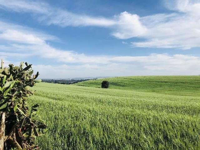 Terreno venda em Região Geográfica Imediata de Chapecó, Chapecó