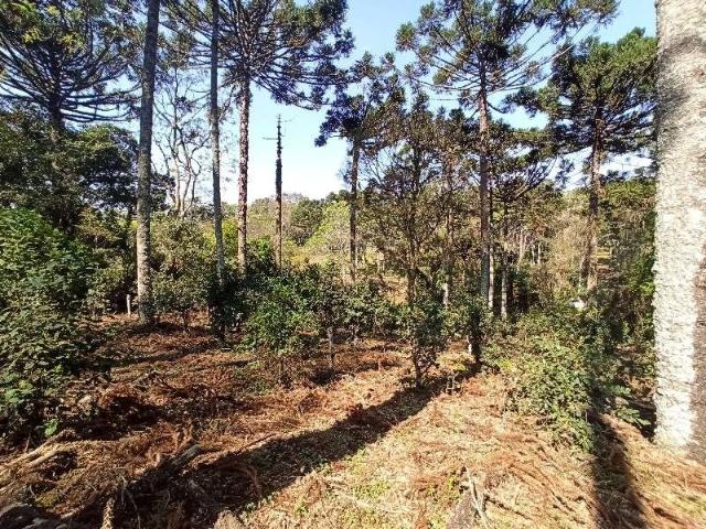 Terreno venda em Região Geográfica Imediata de Chapecó, Chapecó