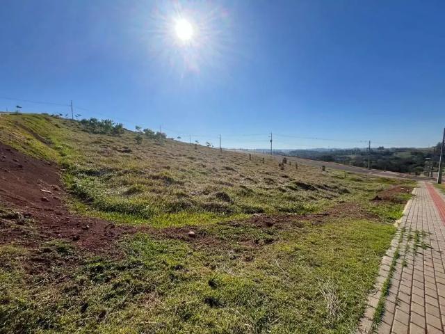 Terreno venda em Região Geográfica Imediata de Chapecó, Chapecó