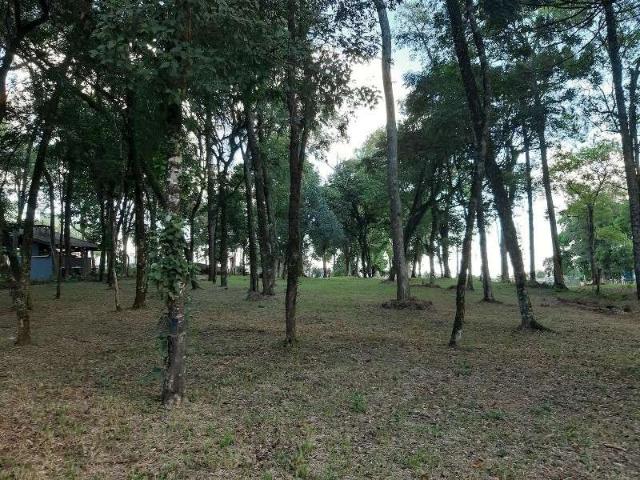 Terreno venda em Região Geográfica Imediata de Chapecó, Chapecó