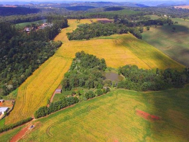 Terreno venda em Região Geográfica Imediata de Chapecó, Chapecó