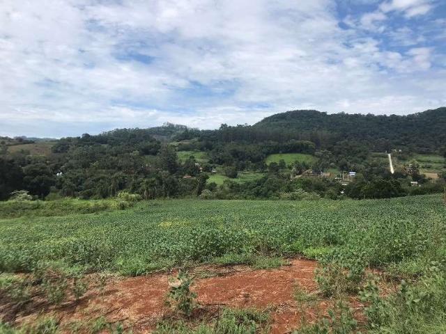Terreno venda em Região Geográfica Imediata de Chapecó, Coronel Freitas