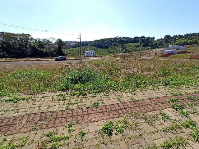 Terreno venda em Região Geográfica Imediata de Chapecó, Chapecó