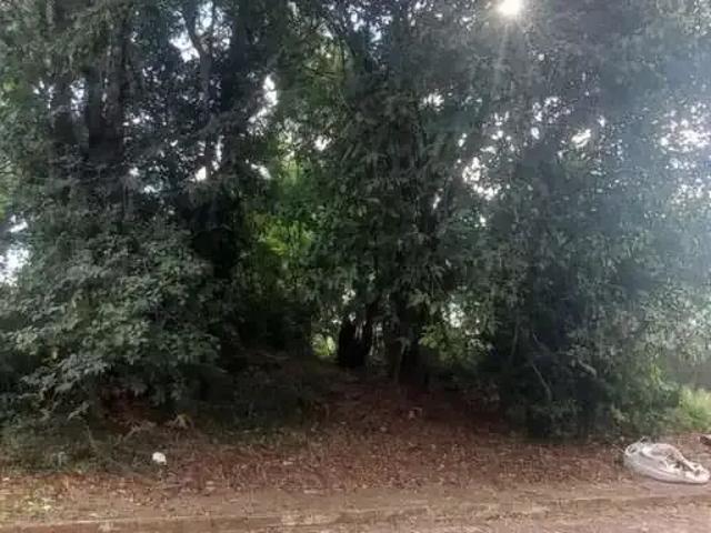 Terreno venda em Região Geográfica Imediata de Chapecó, Chapecó