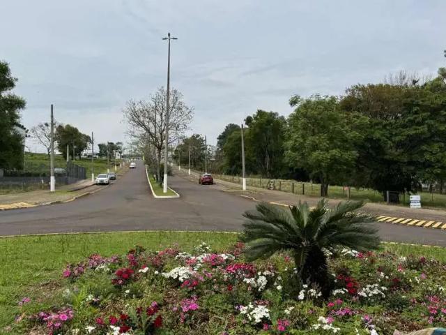 Terreno venda em Região Geográfica Imediata de Chapecó, Chapecó