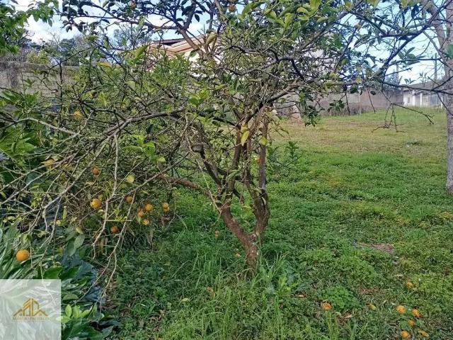Terreno venda em Região Geográfica Imediata de Chapecó, Chapecó