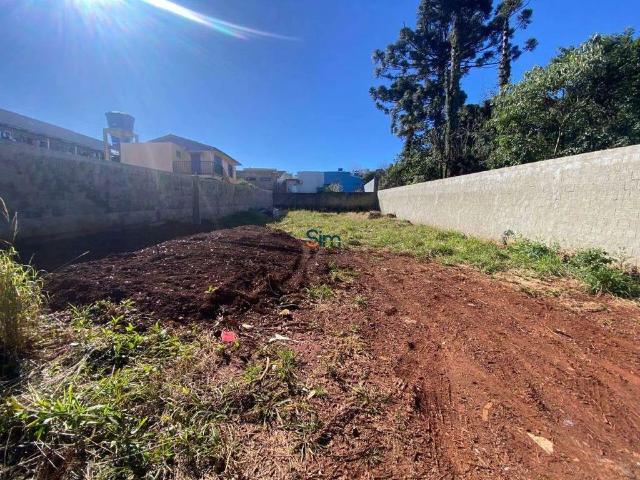 Terreno venda em Região Geográfica Imediata de Chapecó, Chapecó