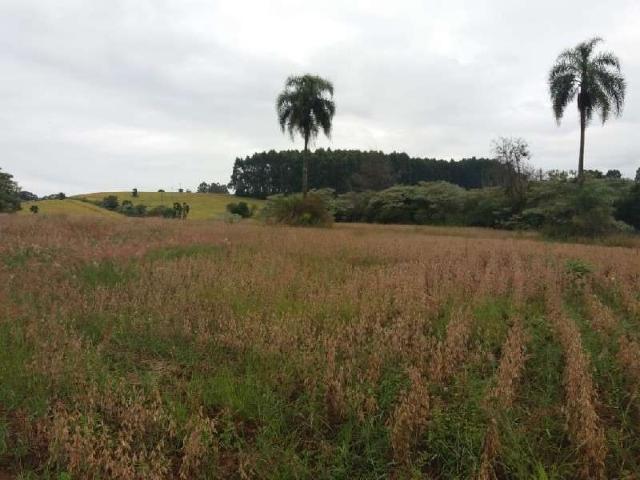 Terreno venda em Região Geográfica Imediata de Chapecó, Chapecó