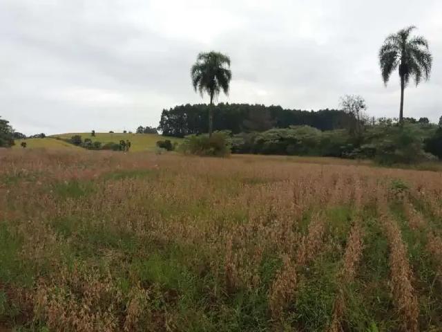 Terreno venda em Região Geográfica Imediata de Chapecó, Chapecó