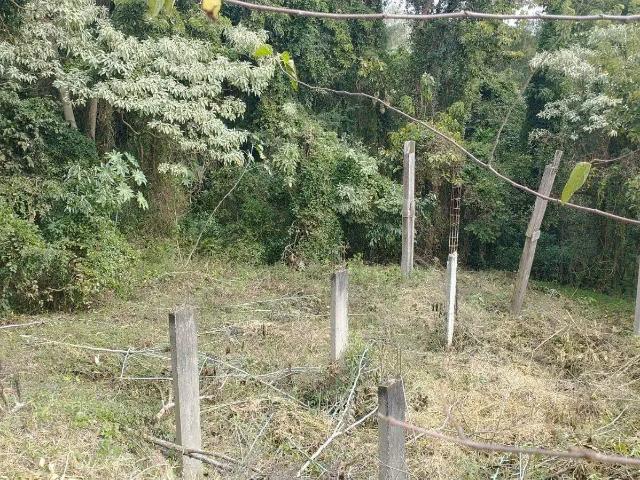 Terreno venda em Região Geográfica Imediata de Chapecó, Chapecó